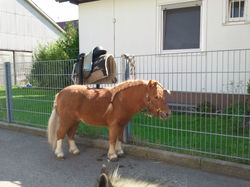 2011-09-24 14.10.07.jpg