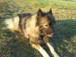 2011-10-01 18.13.28.jpg