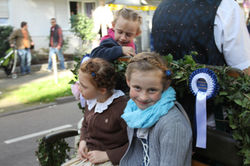 Alles von der Kutsche aus beobachten