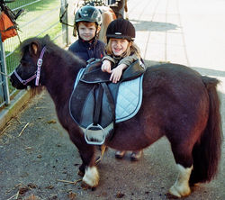 Spiele auf unserem Hof machen