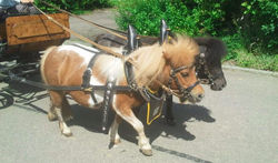 2012-06-09 15.35.55.jpg