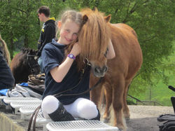 Mit den Ponys Kuscheln