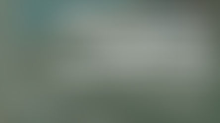 Allegheny County Homeowners: Reduce Taxes Up to 30% Through a Property Tax Assessment Appeal