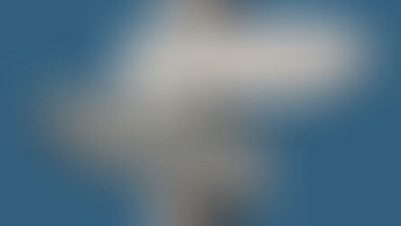 Is Bankruptcy Cheaper Than Debt Repayment? 