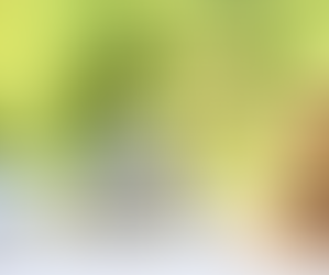 Smart Sheriff Sale Tips & Risks for Real Estate Investors