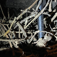 Chimney flue completely blocked by bird's nest