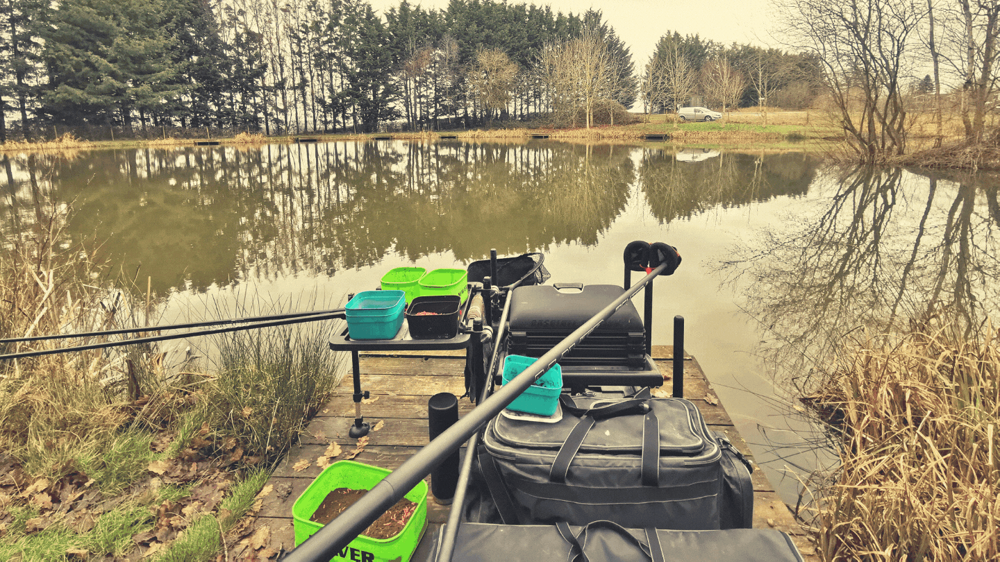 Facebook Live Stream 22 - in pursuit of perch