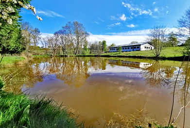 Charlies pool offers frantic sport