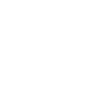 UNFlogo.webp