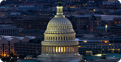 Government contractors collaborating in an office