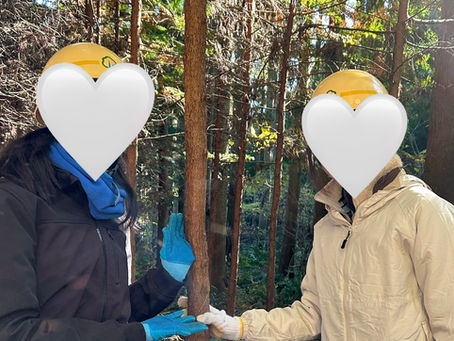 林業は運動になる!!