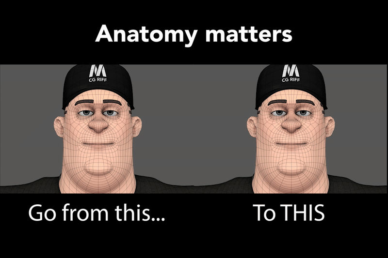 anatomyMatters.gif