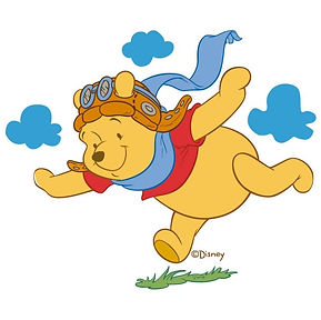 A landing is just a controlled crash.jpg