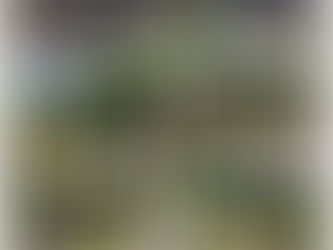 Otwieramy weekend 4-6.08 z jogą w ogrodzie!