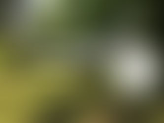 Jutro joga o godz. 18.30!