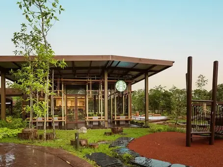Discover Starbucks Bird Paradise: A Rustic Retreat in Singapore