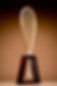 Schwacher Background Home.jpg