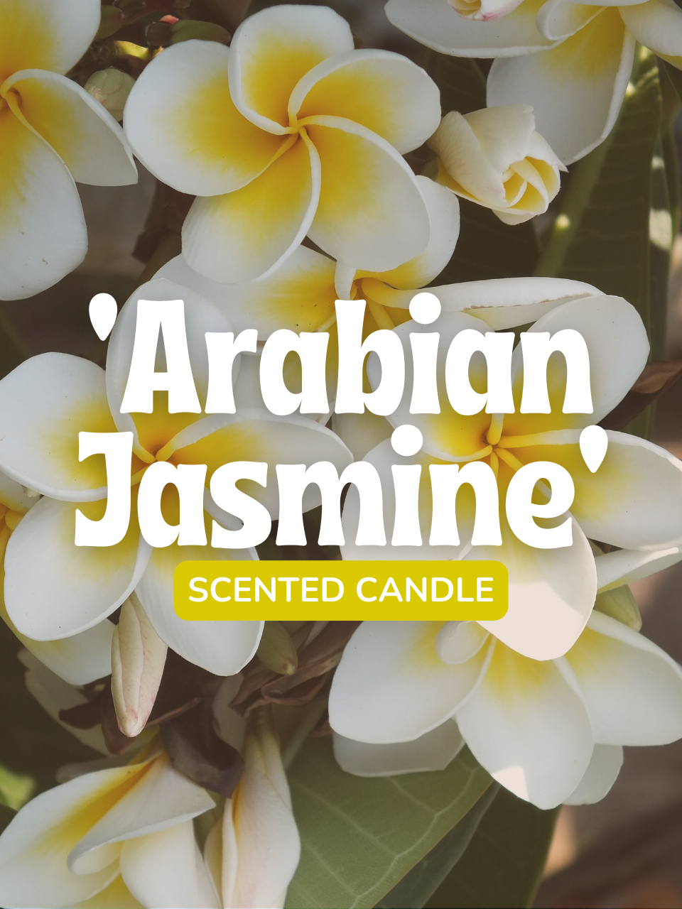 Jaasmine
