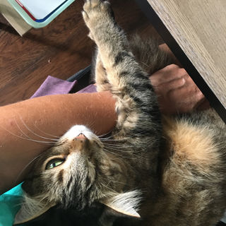 sweetie hug.JPG