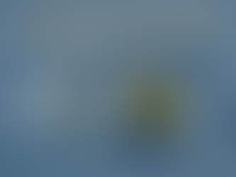 The Crucial Role of Alternative Valuation Products in Mitigating Risk in Real Estate and Lending