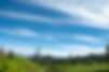 DSCF4142.jpg