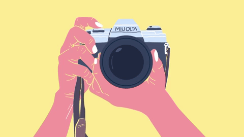 camera_orig.gif