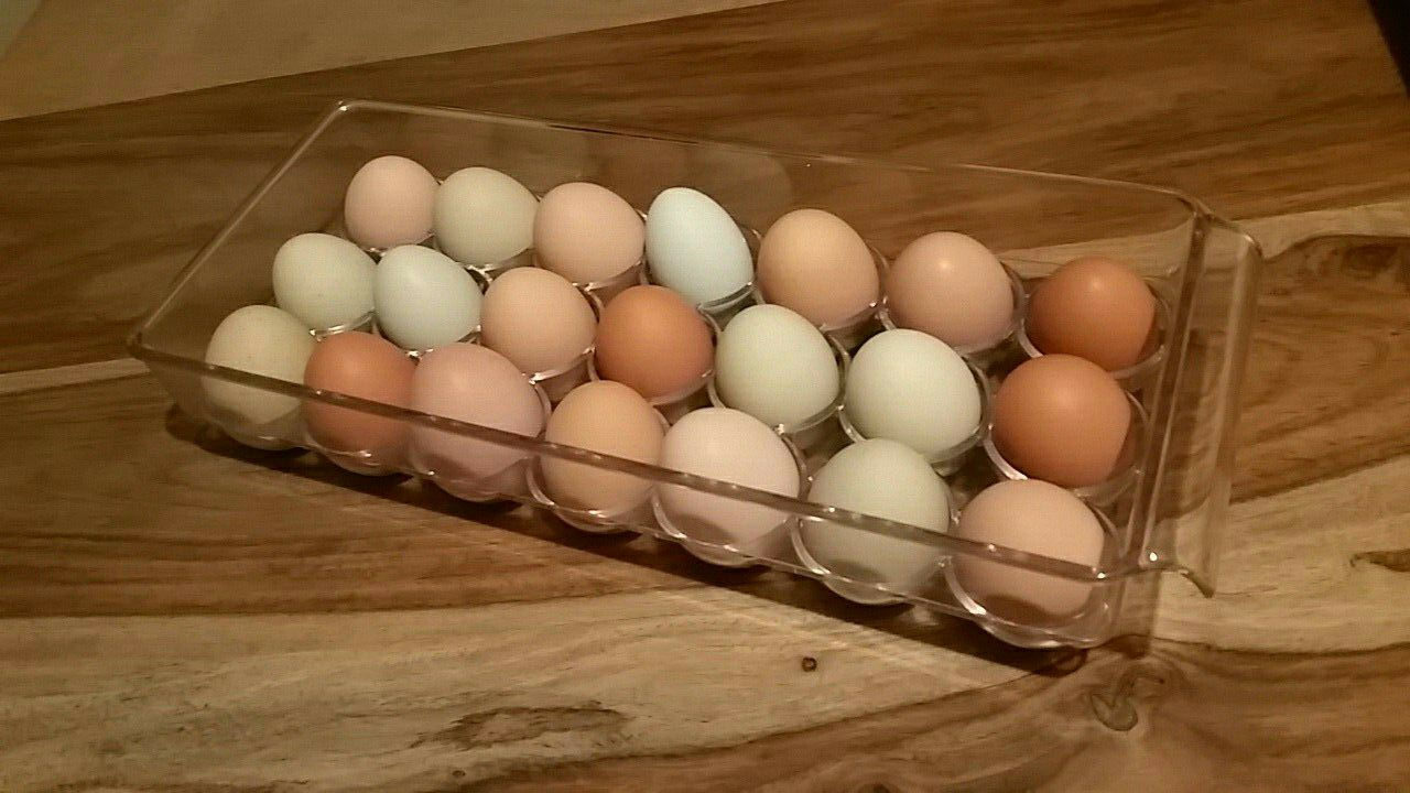 27992850_1016003411871546_5454223961251022841_o