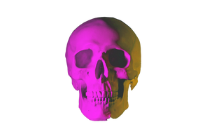 skull 2.png