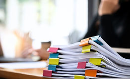 Visuels présentation générale (3).jpg