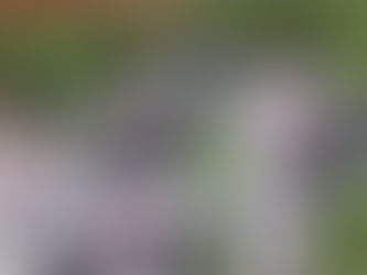 Álvarez powers Astros to third straight victory, series win in Oakland