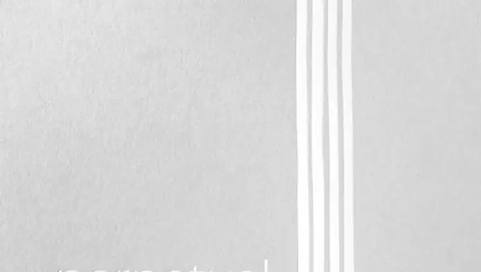 Perpetual Violin String Set