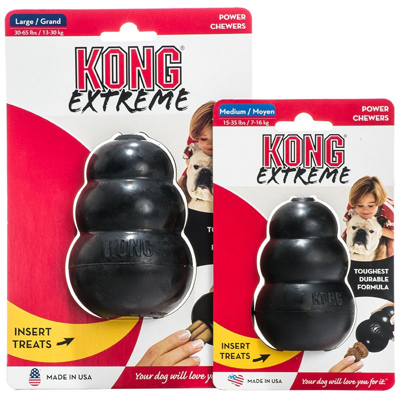 KONG RECIPES! MOST INTERESTING DOG TOY EVER!