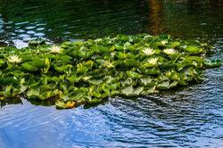 24255084_1941616449189440_1794294700770725315_o