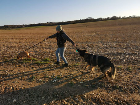 Canicross will make my dog pull on the lead ... won't it?