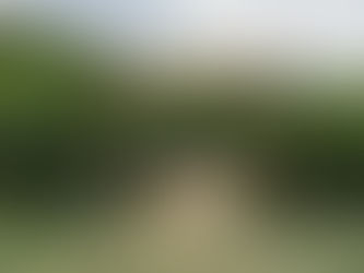 Familienausflug ins Maislabyrinth Frienisberg – ein Abenteuer für Gross und Klein