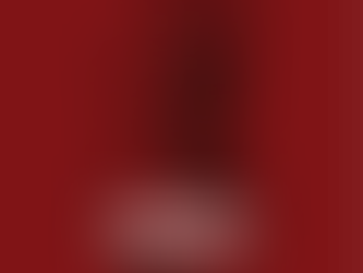 First Look: The North Haven Warrior's Dream League schedule is revealed!