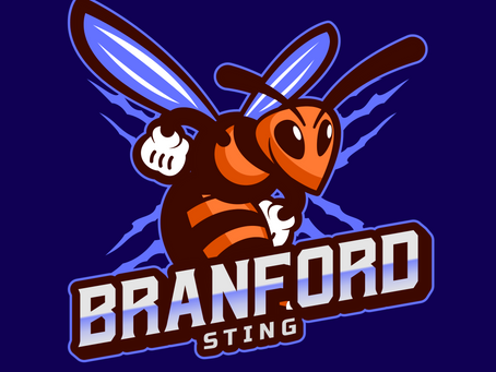 The Dream League welcomes the Branford Sting!
