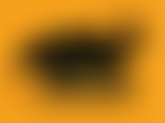 The Madison Mavericks schedule is here!