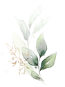 c (3).png