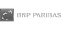 BNP_Paribas_Transparent_edited.png
