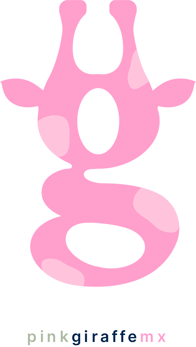 Pink Giraffe Mx | Workshops | Minneapolis, MN 55410, USA