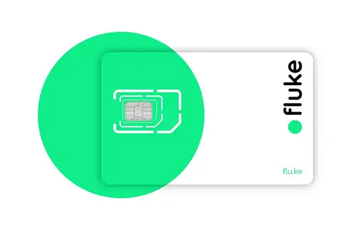 fluke brand strategy project