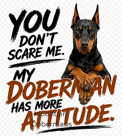 Attitude_edited.jpg