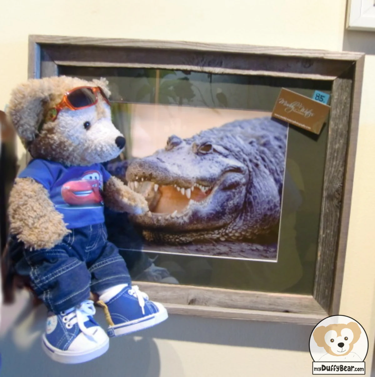 Duffy the Disney Bear says hello to the Alligator!