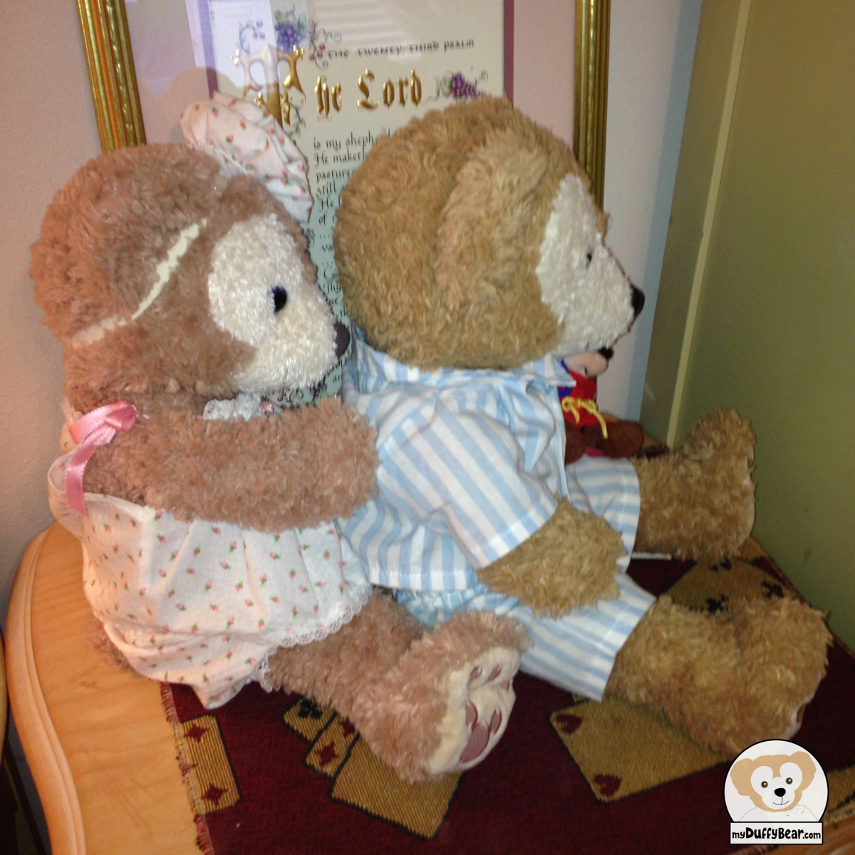 Duffy gets his back scratched by ShellieMay