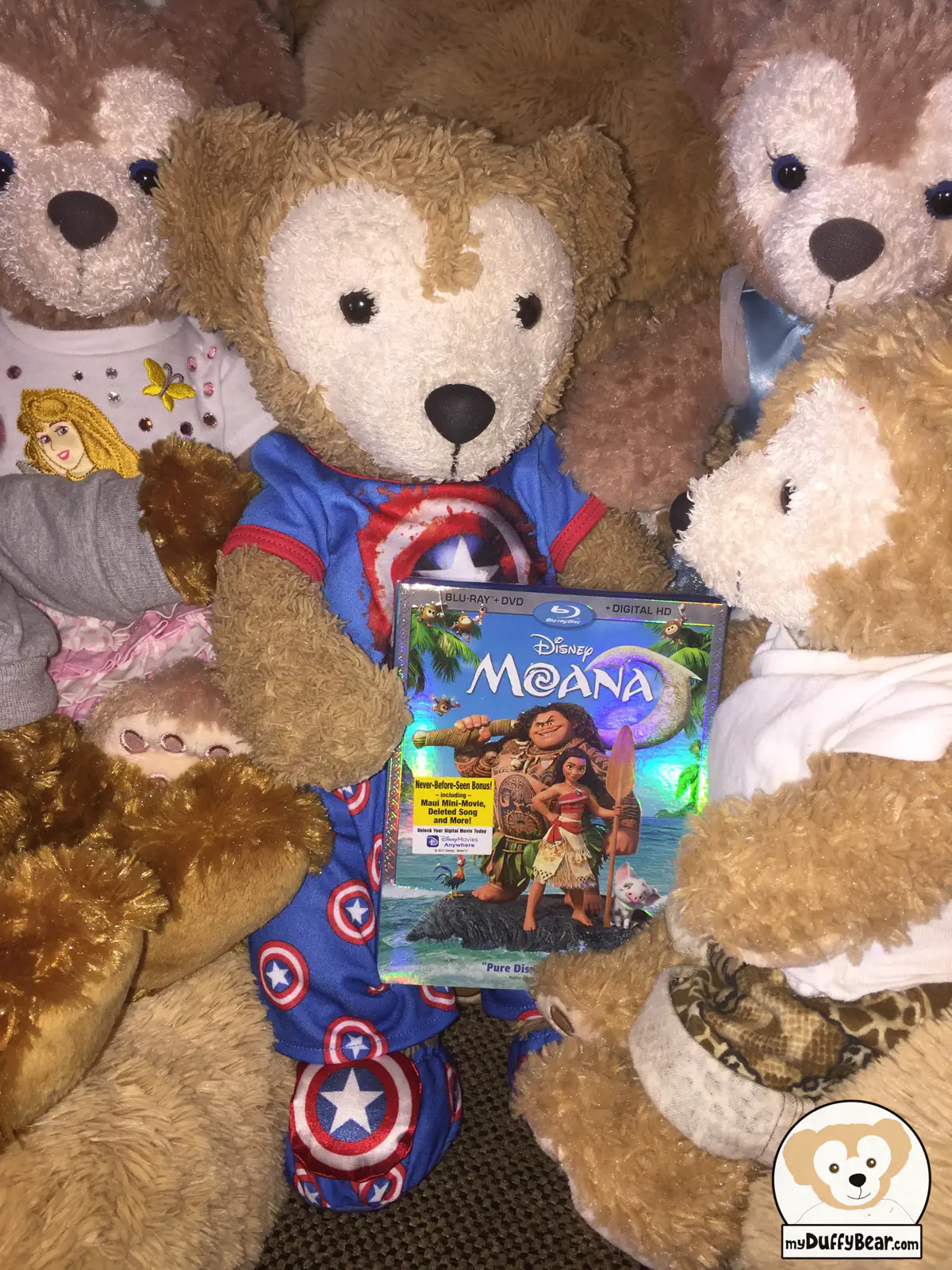 Duffy the Disney Bear gets the Moana BluRay DVD pack as a get well gift