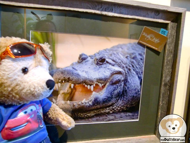 Duffy put his ear close to the gator's mouth to hear what the gator had to say.