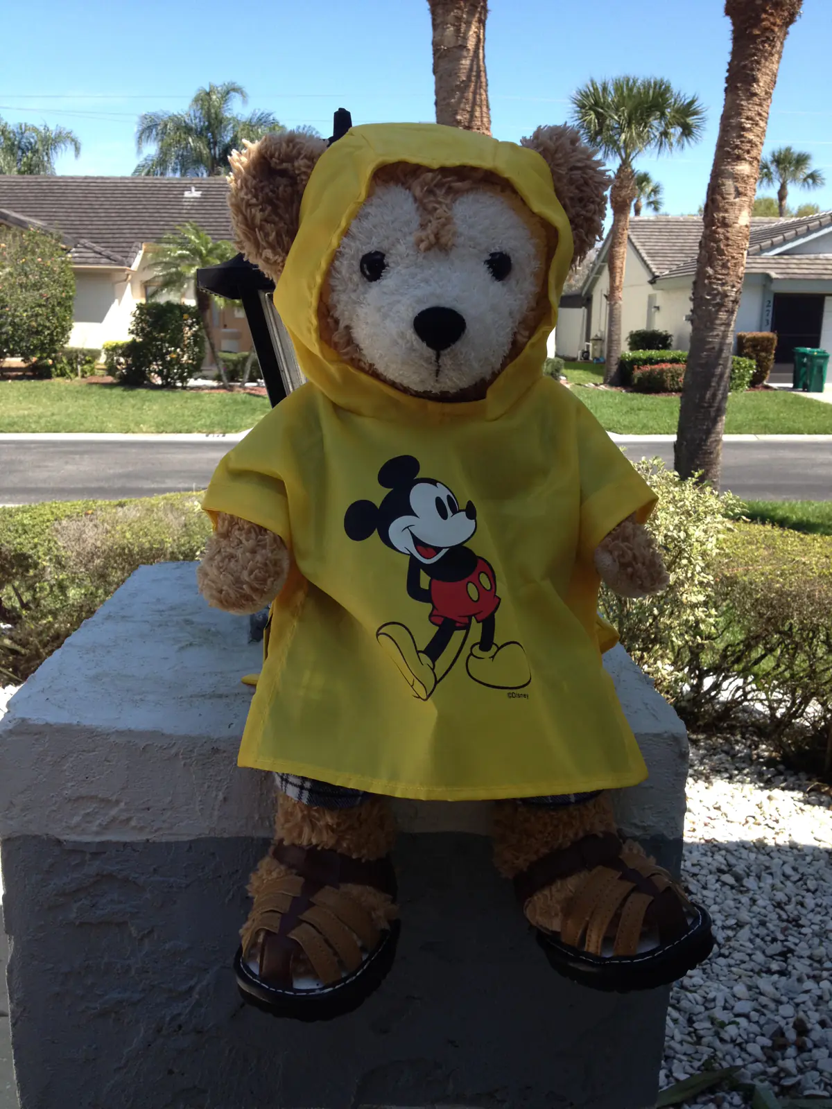 Duffy sitting outside on a sunny day wearing yellow rain poncho with Mickey Mouse on the front