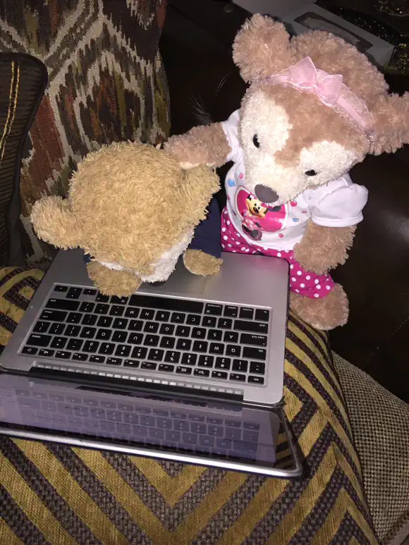 Duffy the Disney Bear fell asleep on his laptop