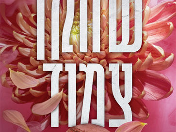 שחקן צמוד / ניקי אש